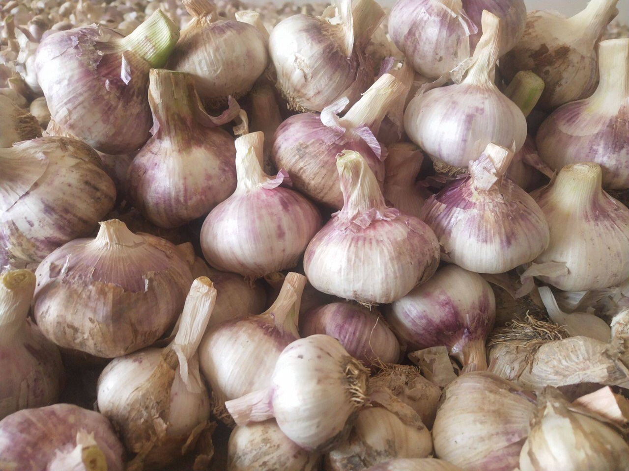 今天买了点新蒜,墨友给点意见,这个怎么腌制?