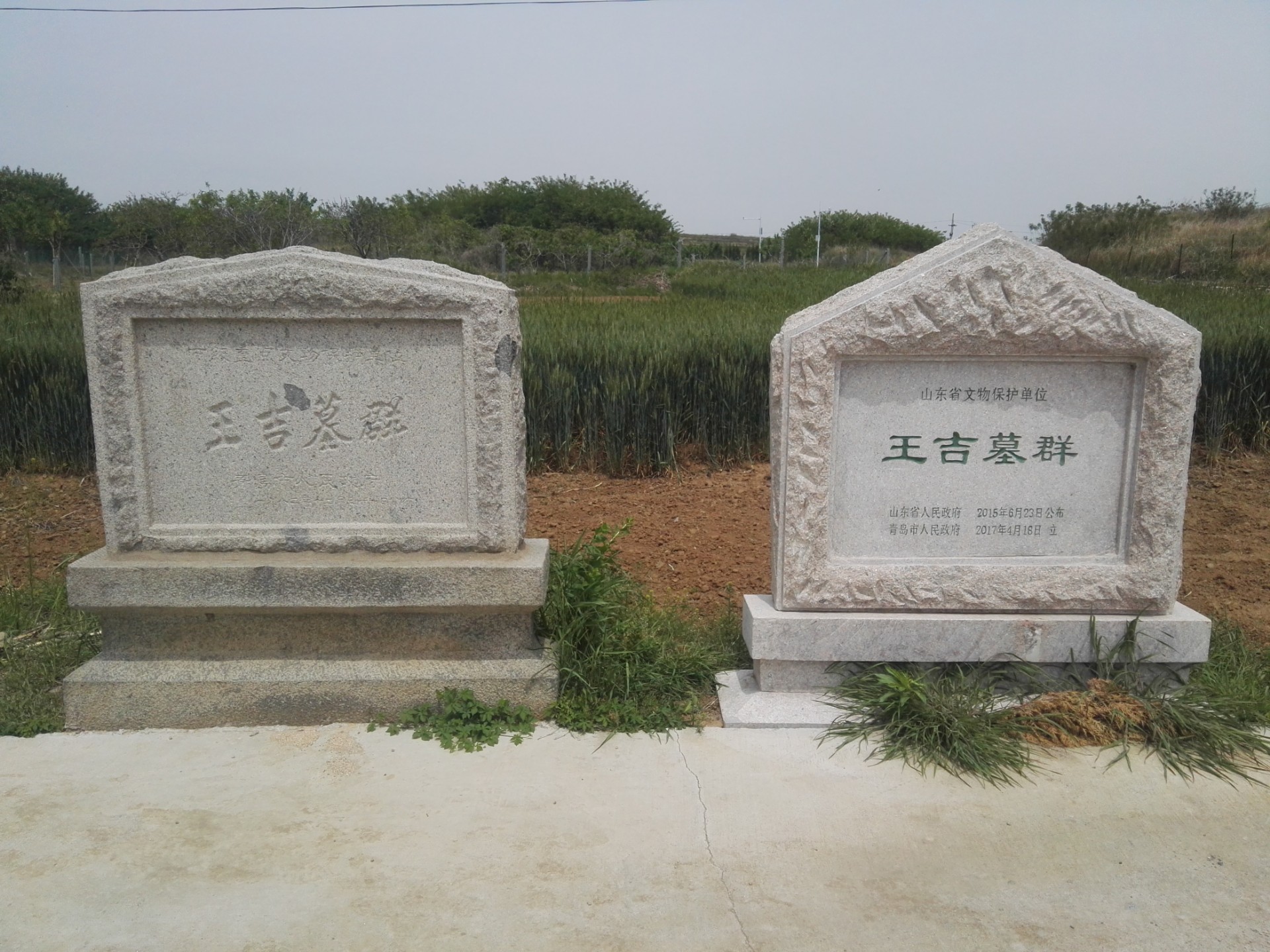 实地探访即墨温泉街道王吉墓群!